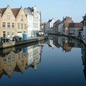 Meet your Posher, Shelley